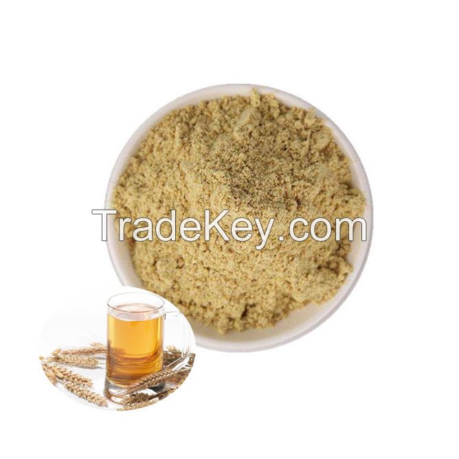 Food Grade Beer Yeast Extract Powder High Active Brewer Yeast