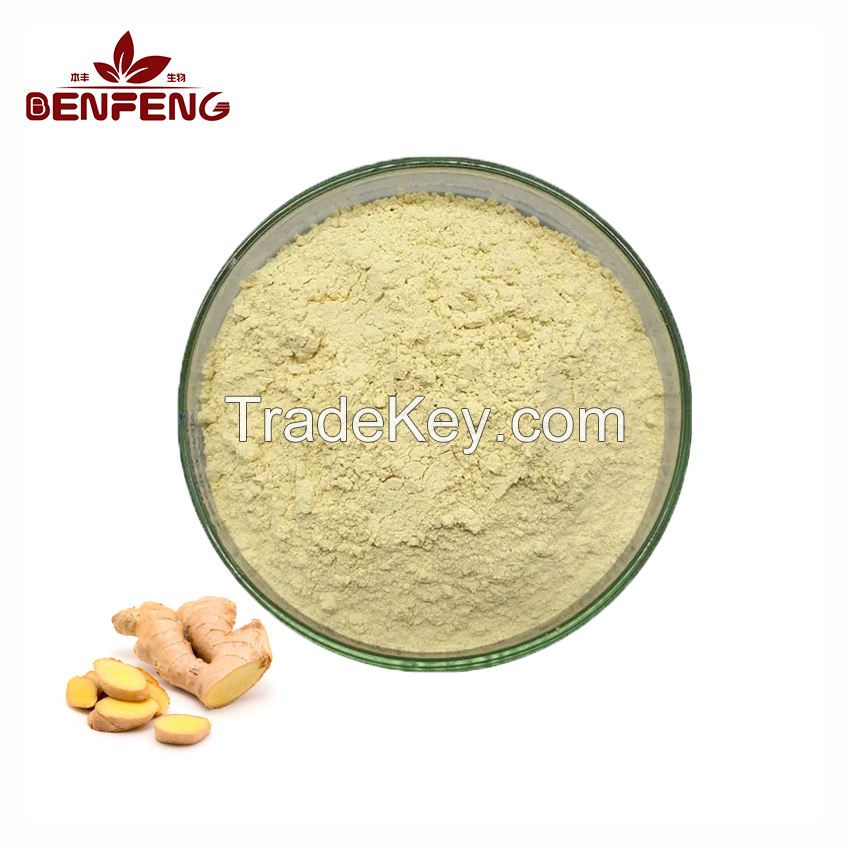 ISO Certified Pure Natural Ginger Grind Powder Dried Ginger Powder Food Grade