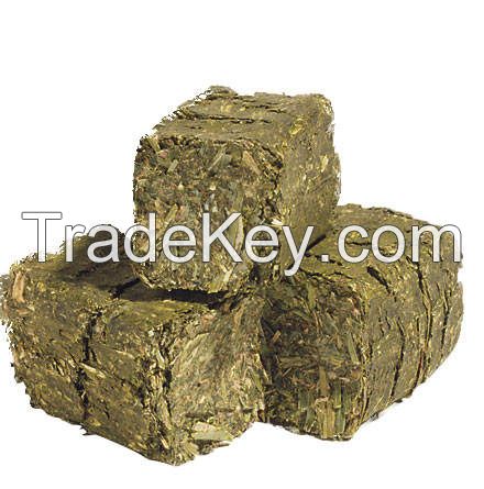 Hay Animal Feeding Stuff Alfalfa | hay/alfalfa hay pellets Timothy Hay/ Alfafa in Bales