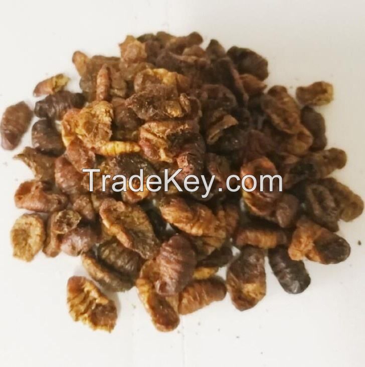 dried silkworm pupae frozen silkworm chrysalis pet food 1kg dry bag style storage gluten dried silkworm pupae