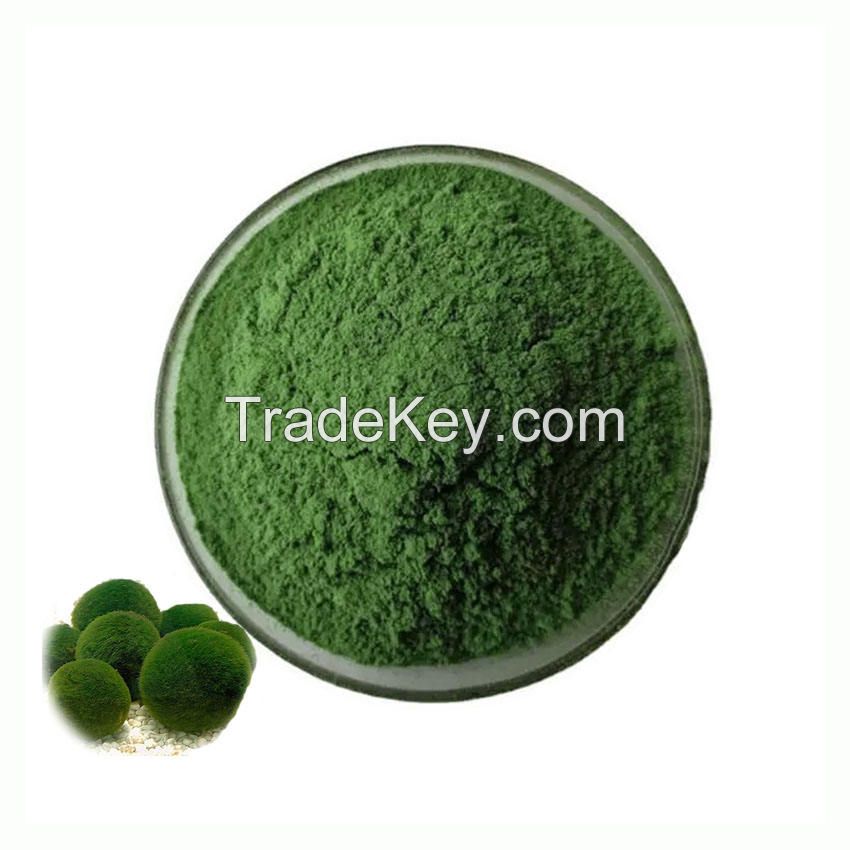 ISO Hot Sale Chlorella Pyrenoidosa Food Grade 99% Chlorella Vulgaris Spirulina Extract Powder