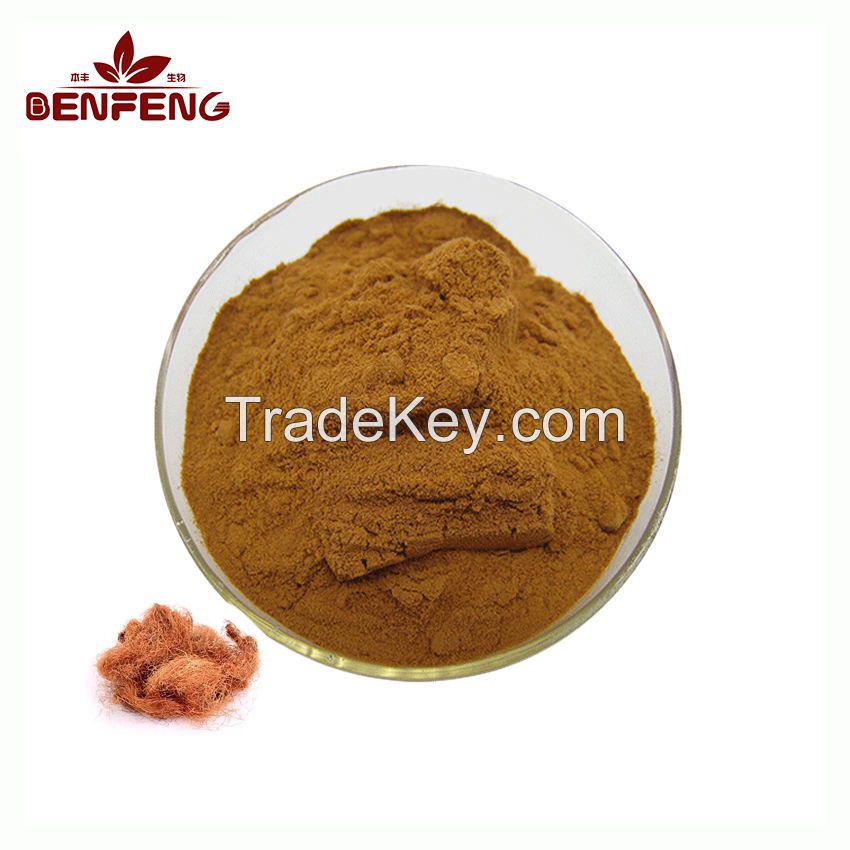 Supply Corn Corn Stigma Extract Powder Food Grade 10:1 Natural Corn Silk Extract