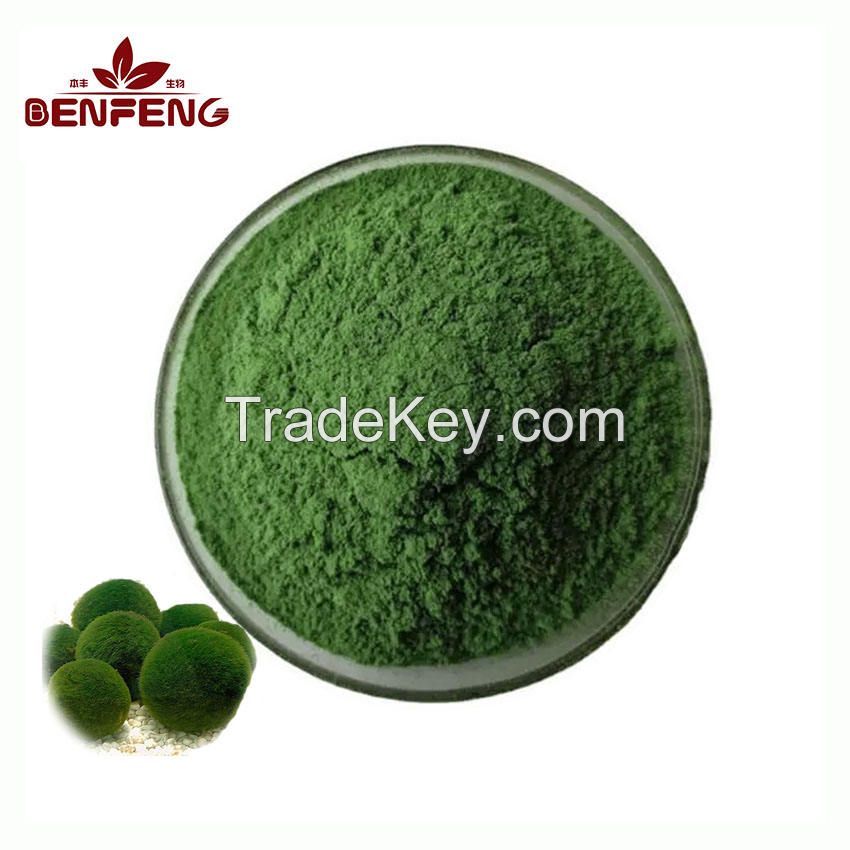 ISO Hot Sale Chlorella Pyrenoidosa Food Grade 99% Chlorella Vulgaris Spirulina Extract Powder