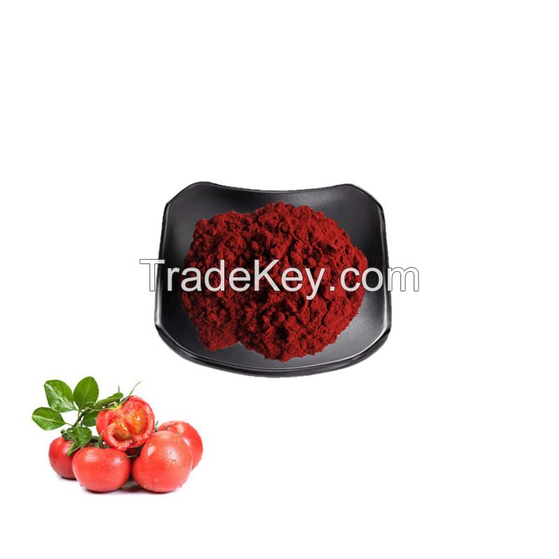 100% Natural Organic Tomato Extract Powder Lycopene powder lycopene 10%