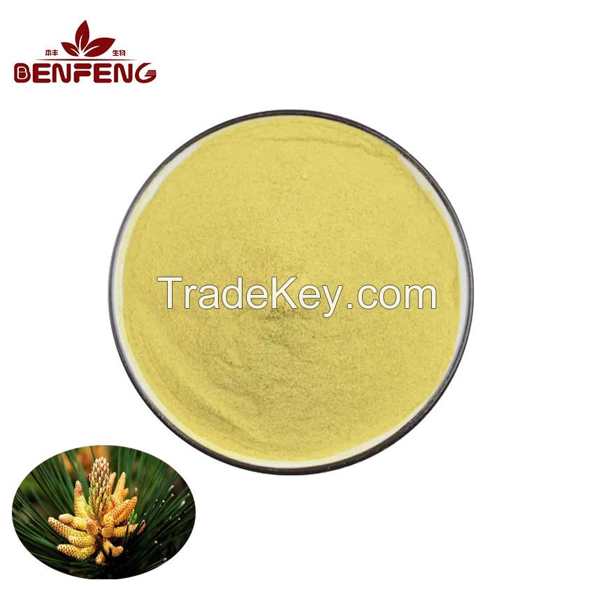 High Grade Pine Pollen Extract Natural Dried Pine Pollen Powder