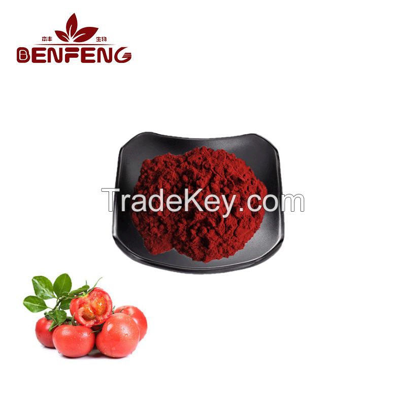 100% Natural Organic Tomato Extract Powder Lycopene powder lycopene 10%