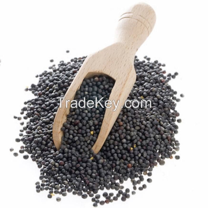 pepper whole dried black white pepper 550gl 500gl pure organic bulk suppliers pepper 550gl  500gl For Sale