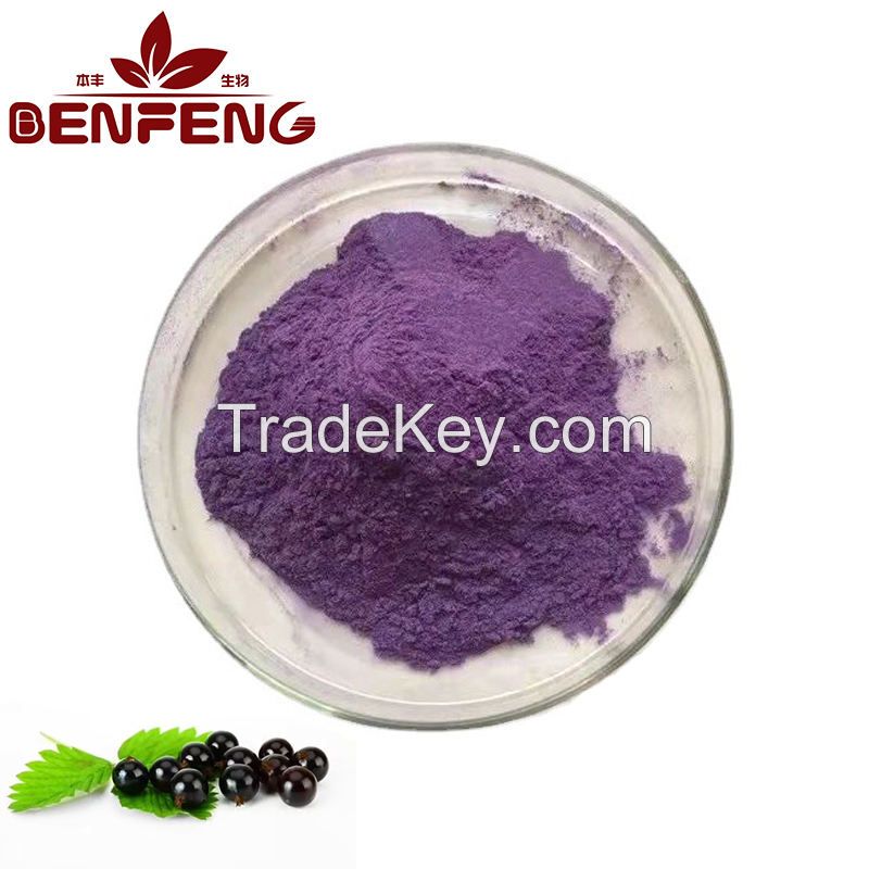 hot selling Best Quality Bulk Black Goji Berry Powder Black wolfberry juice powder