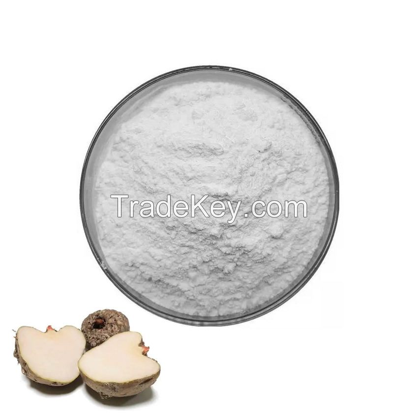 Chinese High Quality Konjac  Powder Konjac Root Powder Extract Konjac Fine Flour