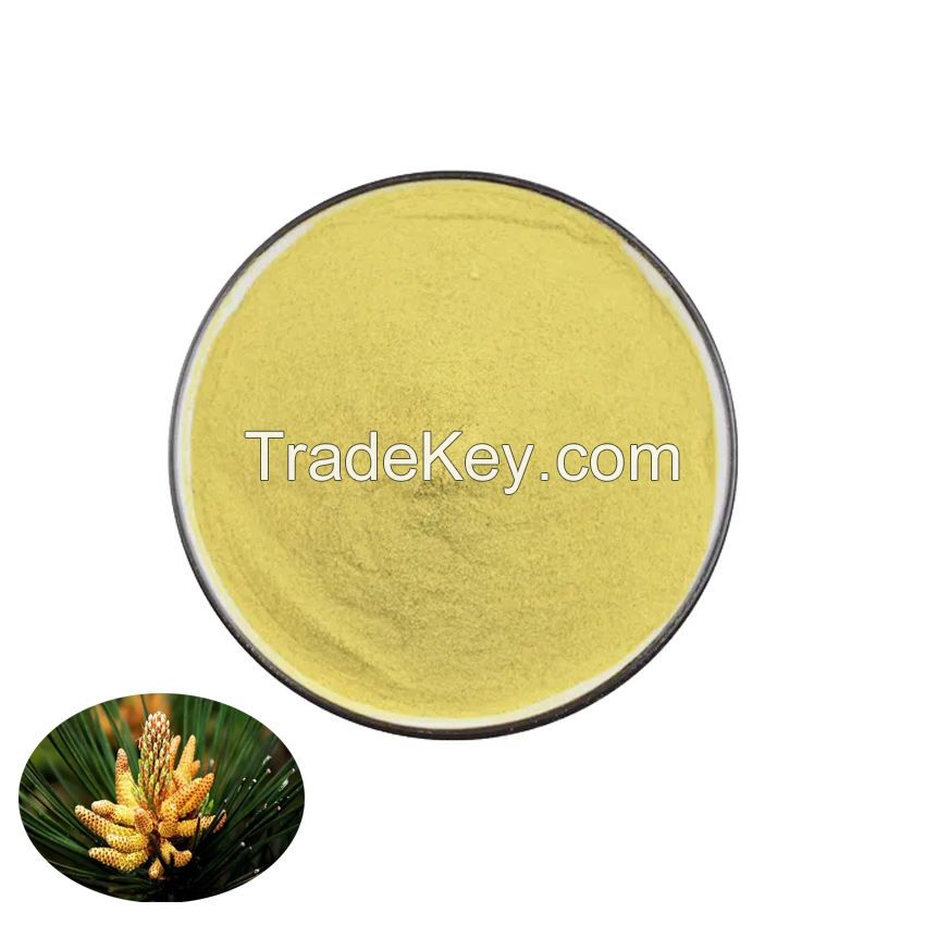 High Grade Pine Pollen Extract Natural Dried Pine Pollen Powder