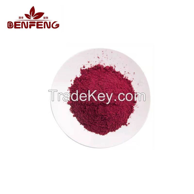 Wholesale Bulk Blueberry Powder Organic Blueberry Extract Powder Rich in Anthocyanin