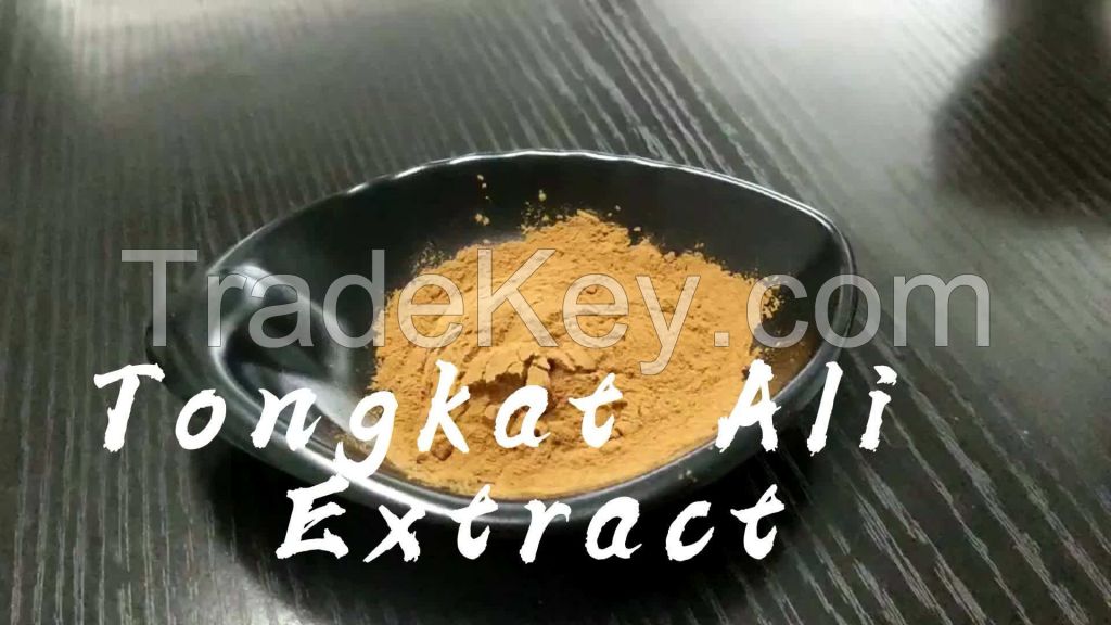 hot selling High quality Tongkat Ali Extract Powder 100% Natural Tongkat Ali root Extract Powder