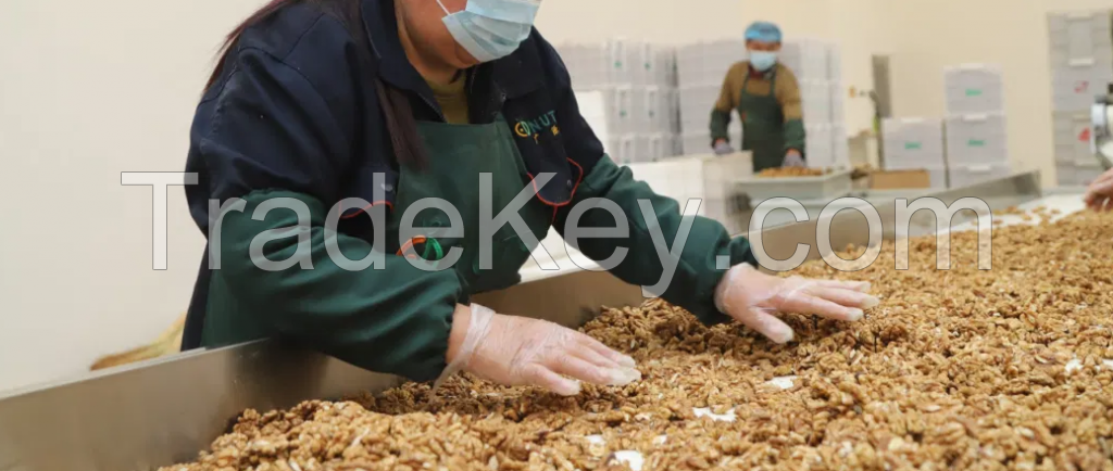 Organic dried Walnuts without shell