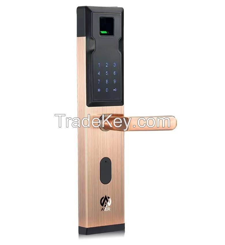 intellgient lock  lock anti-theft the latest mode in 2023