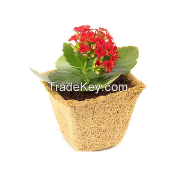 Simple and Durable Coir Pot For Planting to make our Garden Greener