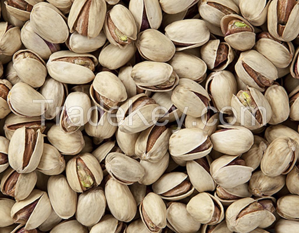 Good Quality Low Price Raw Salted Wholesale Pistachio Nuts Kernels For Sale