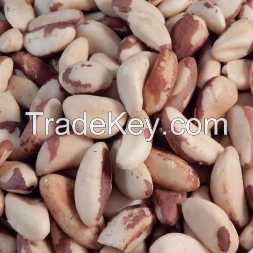 natural brazilian nuts Bertholletia excelsa Brazil nut for food