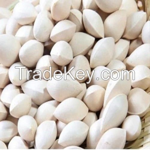 Quality Ginkgo Nuts For Sale