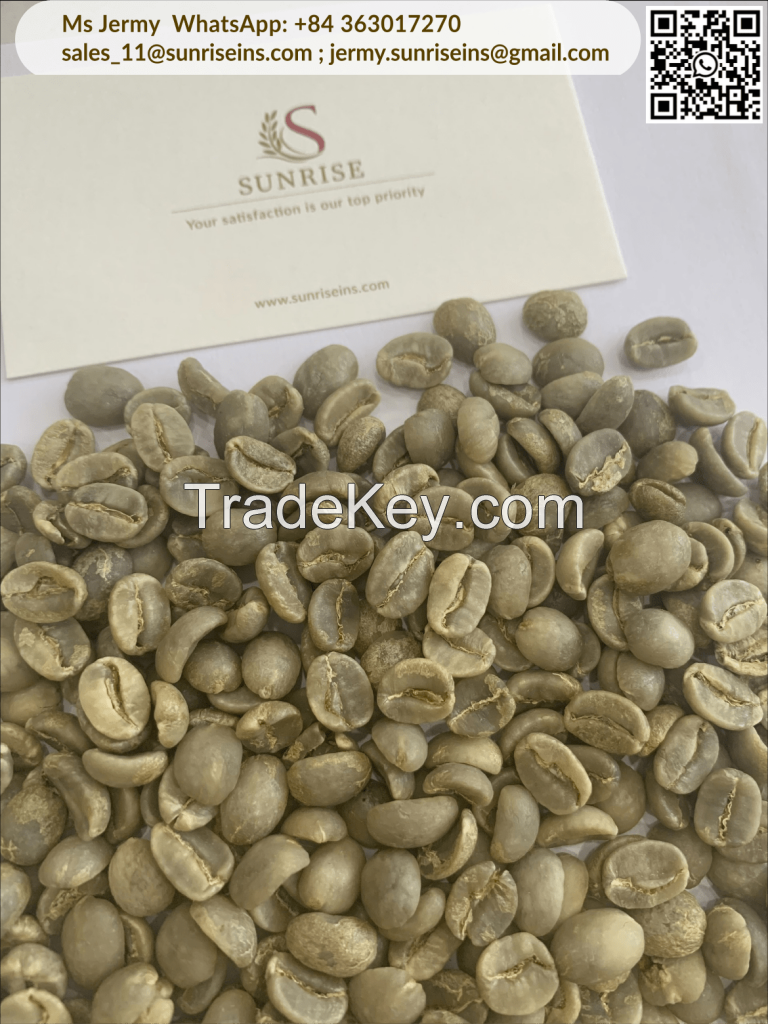 Arabica green coffee beans Vietnamese coffee beans