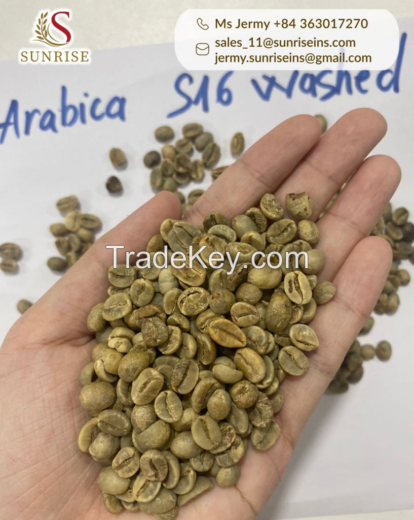 Arabica green coffee beans Vietnamese coffee beans