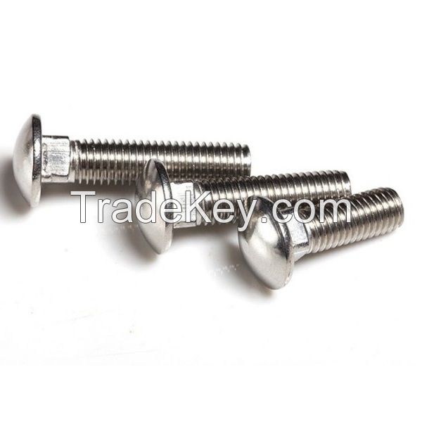 SS304 A2-70 Round Head Square Neck Bolts