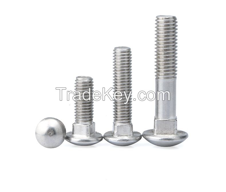 SS316 A4-70 Round Head Square Neck Bolts