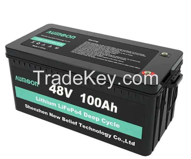 OEM Lifepo4 battery 12v 24v 36v 48v solar battery 100ah 200ah auto rechargeable Lithium ion Lifepo4 batteries