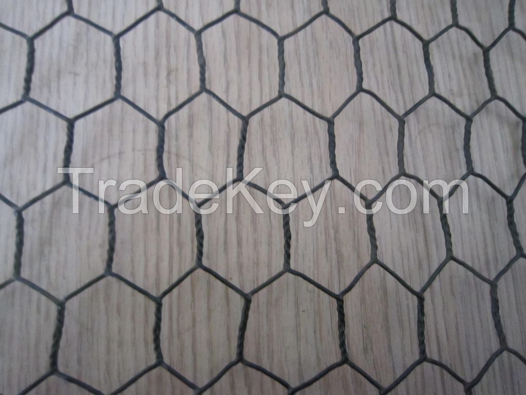 Wire Mesh GI Iron Wire Mesh Hexagonal Galvanized Chicken Wire Mesh