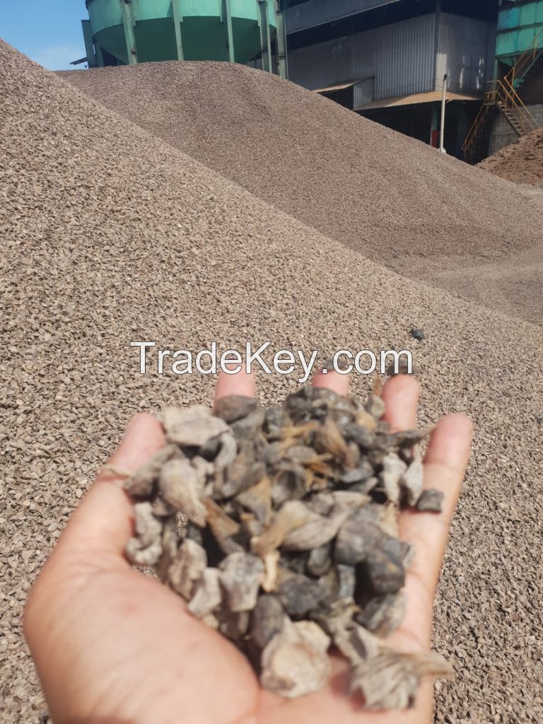 Palm Kernel Shell