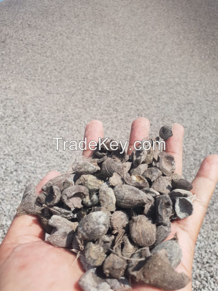 Palm Kernel Shell