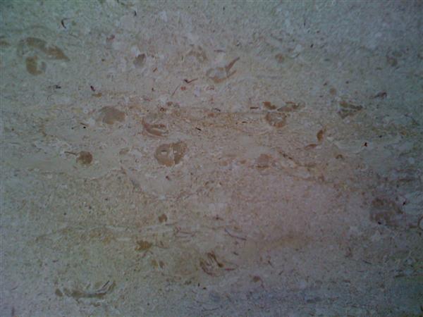 Beige Marble