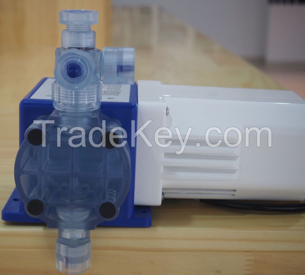 Accurate Measurement Hot Selling Dosing Pump with Instruction Manual