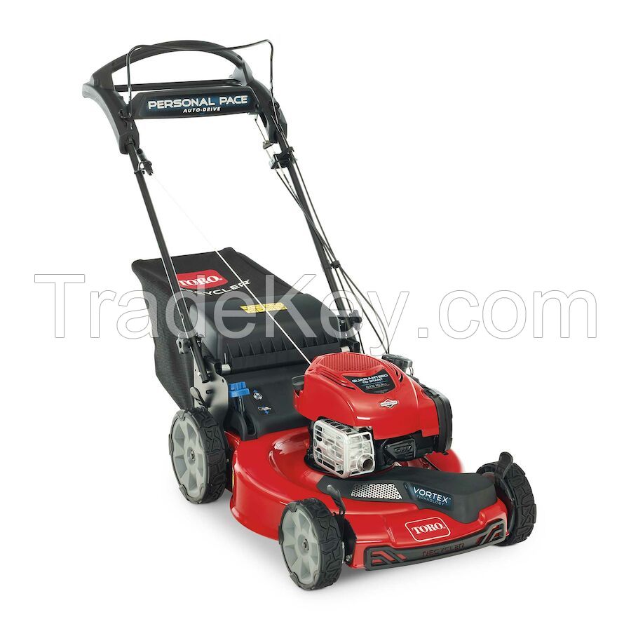 Briggs &amp; Stratton 22 In. (56cm) Recycler&Acirc;&reg; Electric Start W/Personal Pace&Acirc;&reg; Gas Lawn Mower