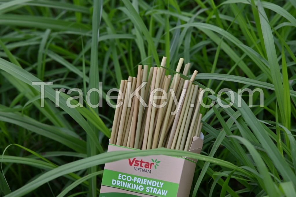 Biodegradable tableware (grass straws, rice flour straws, reed straws, wooden cutlery)