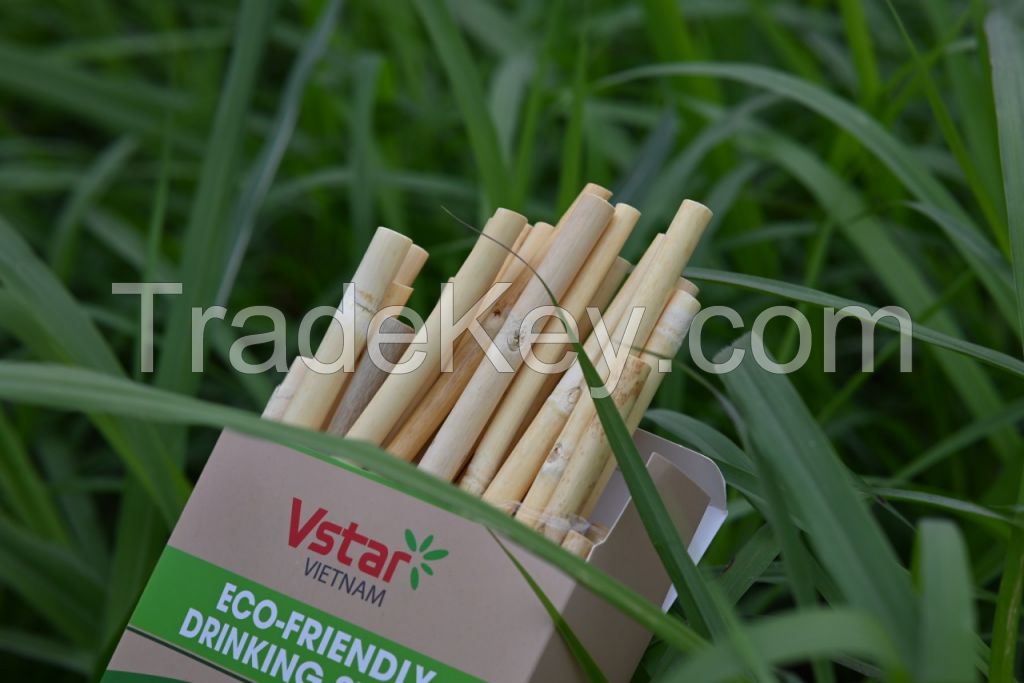 Biodegradable tableware (grass straws, rice flour straws, reed straws, wooden cutlery)