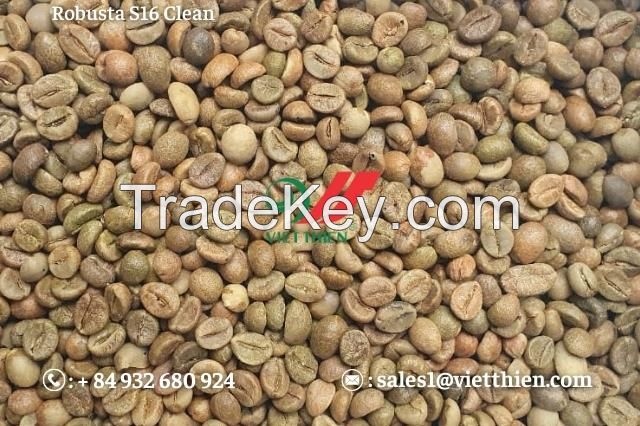 Robusta green coffee beans- clean quality- S18/S16/S14