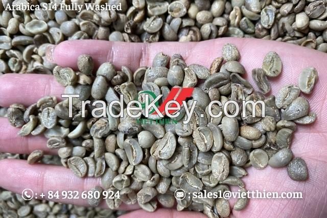 Arabica green coffee beans- Clean quality- S18/S16/S14