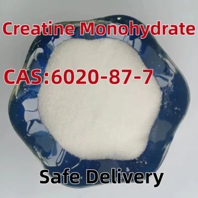 Hot Sale Creatine Monohydrate 6020-87-7 Cheap Price