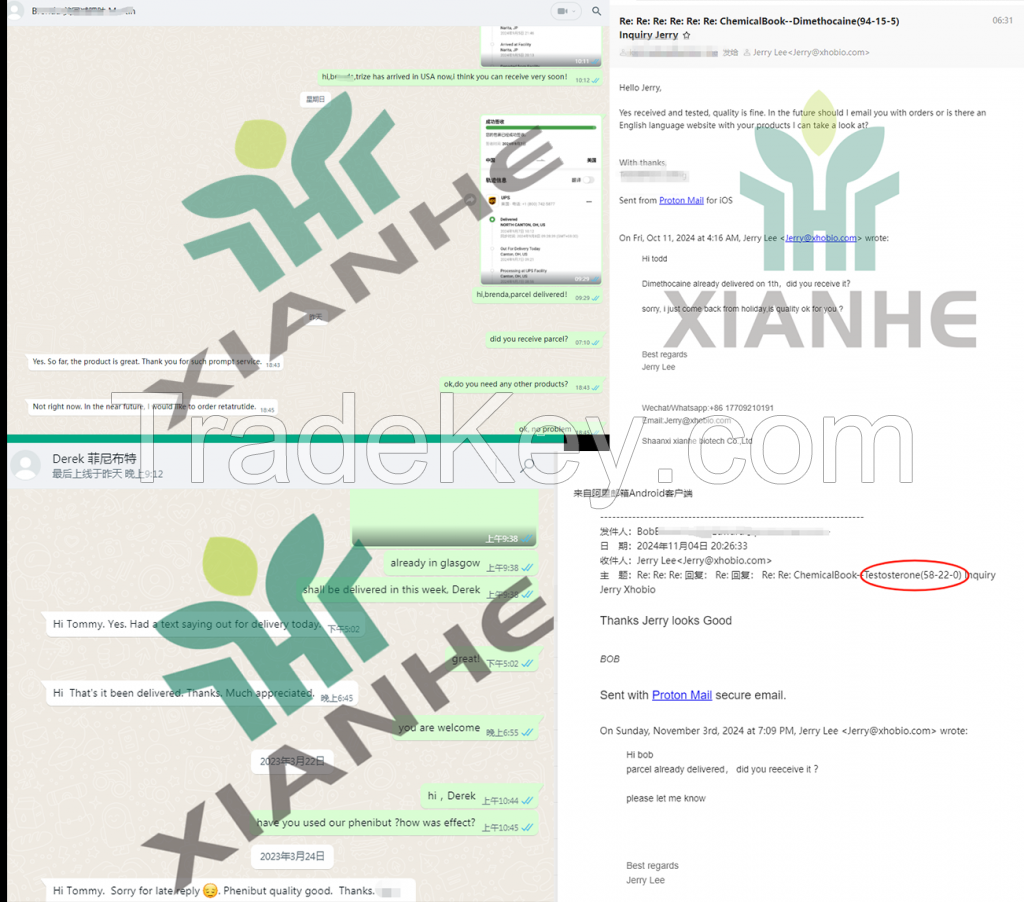 XIANHE factory Supply Allopregnanolone  99% CAS 516-54-1