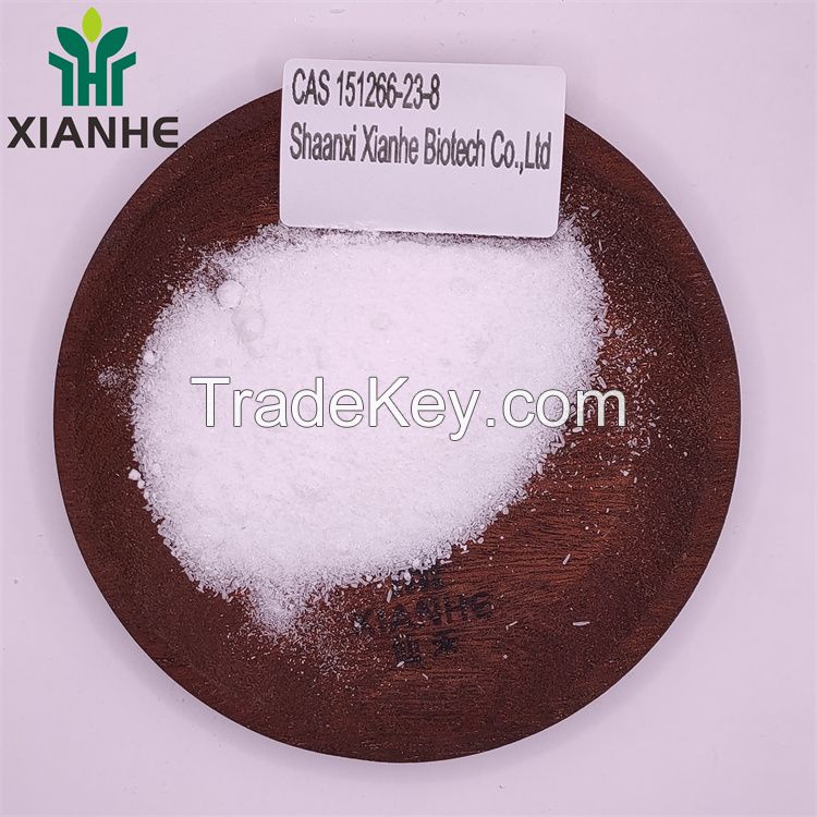 XIANHE factory Supply 3-Iodo-1H-pyrazolo[3,4-d]pyrimidin-4-amine 99% CAS 151266-23-8 