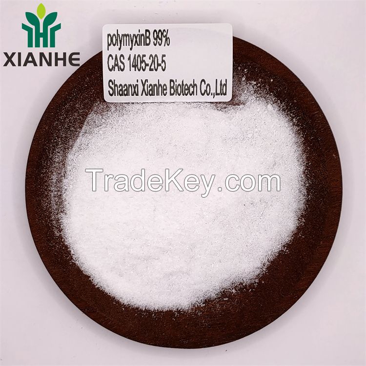 XIANHE factory Supply polymyxinB 99% CAS 1405-20-5