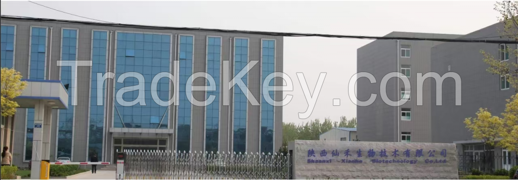 Chinese Arborvilea Seed Extract 
