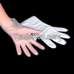 Disposable Gloves