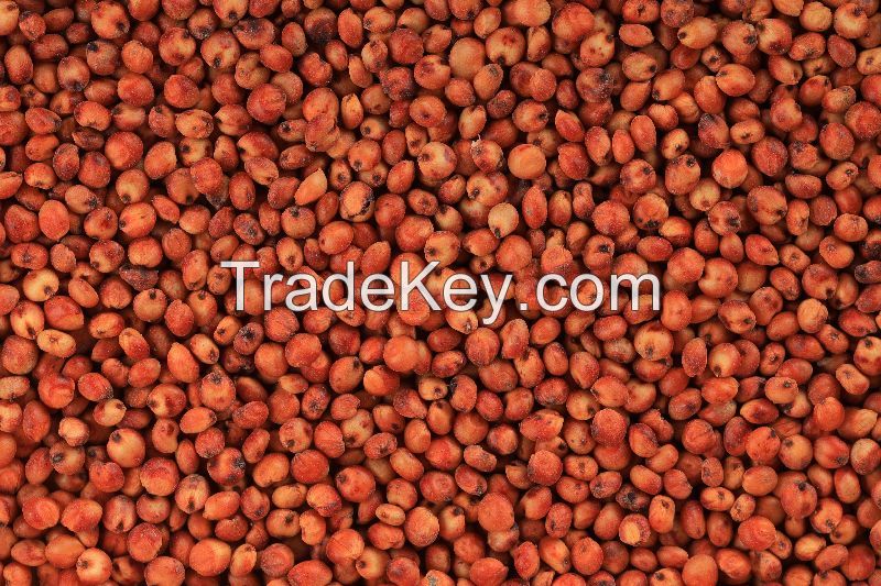 good quality red sorghum