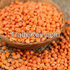 Red Lentils