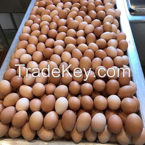 Chicken Eggs