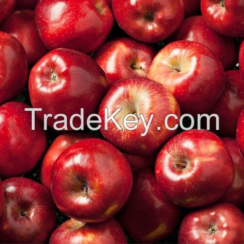 fresh apple
