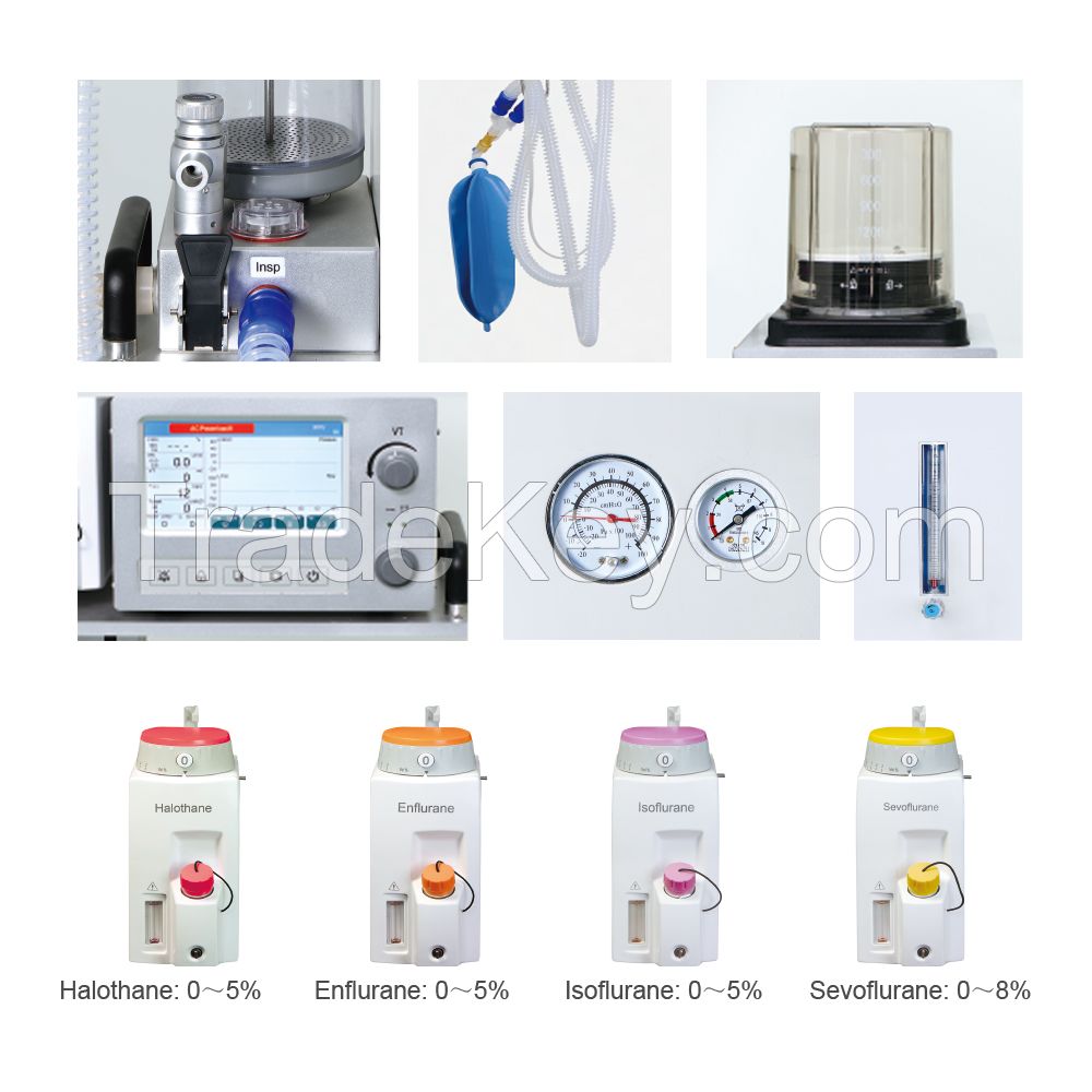 Veterinary Anesthesia System