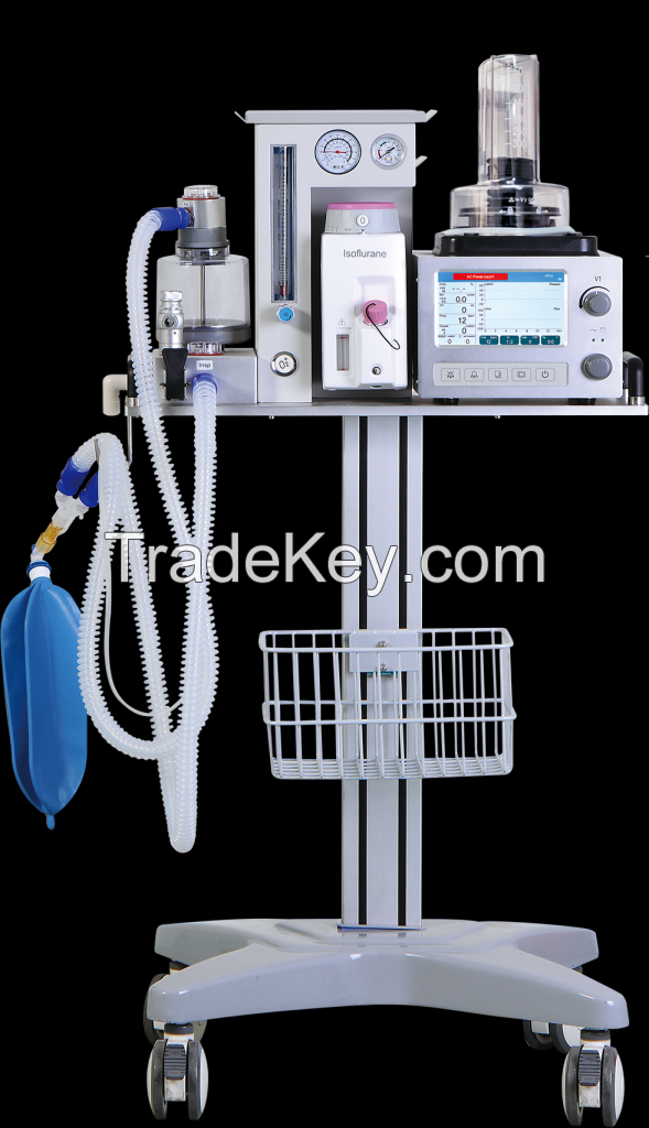 Veterinary Anesthesia System