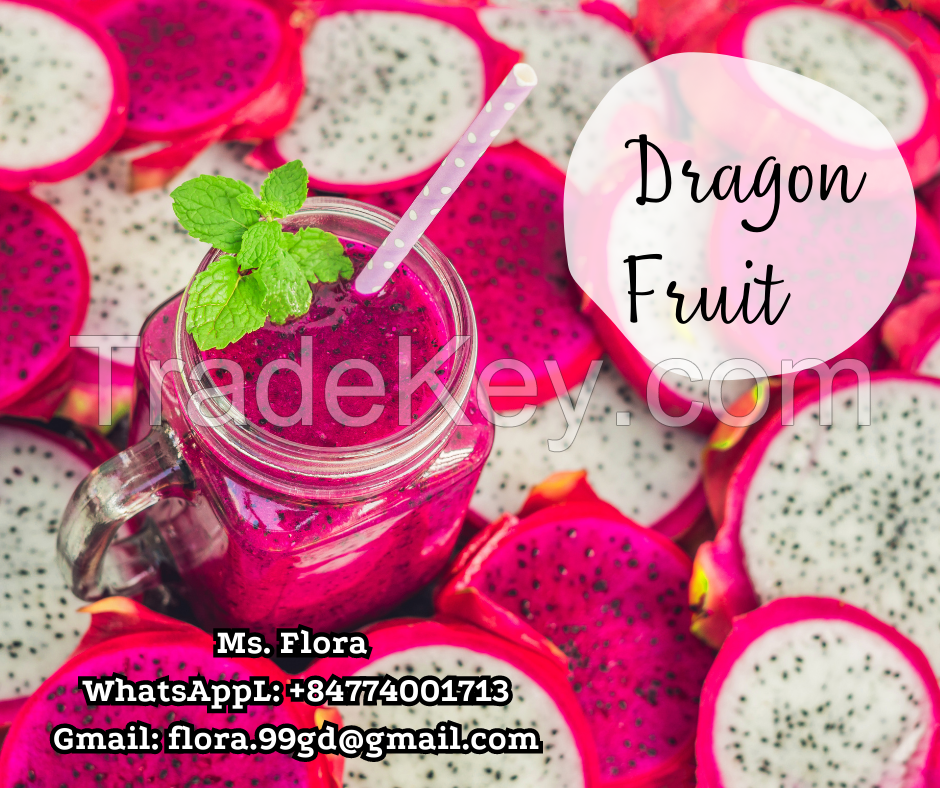 Fresh Dragon Fruit From Vietnam at the good prices